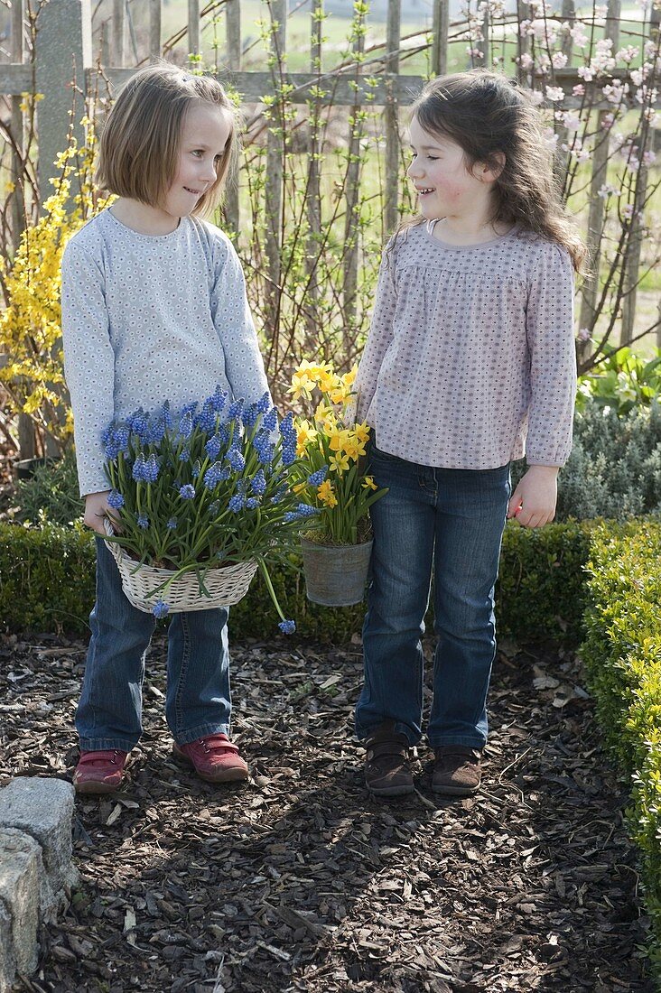 Girl in a cottage garden with muscari (grape hyacinths) in a basket