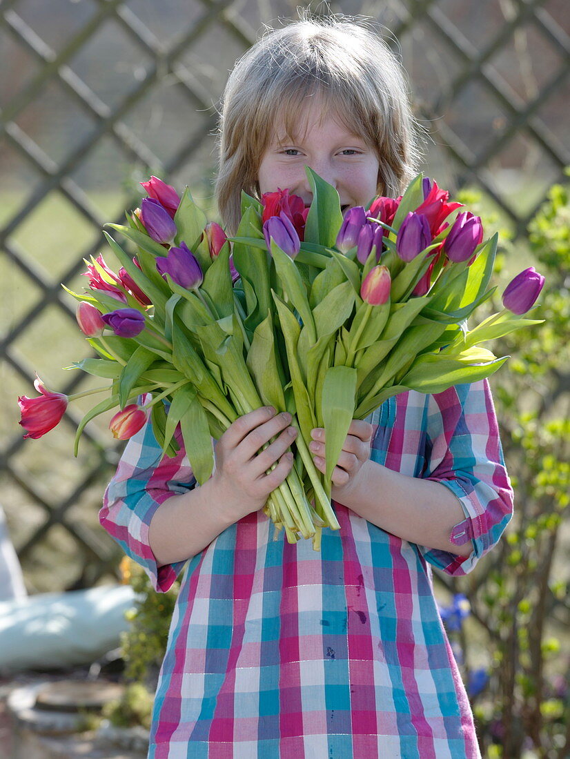 Mädchen mit roten und violetten Tulipa (Tulpen)