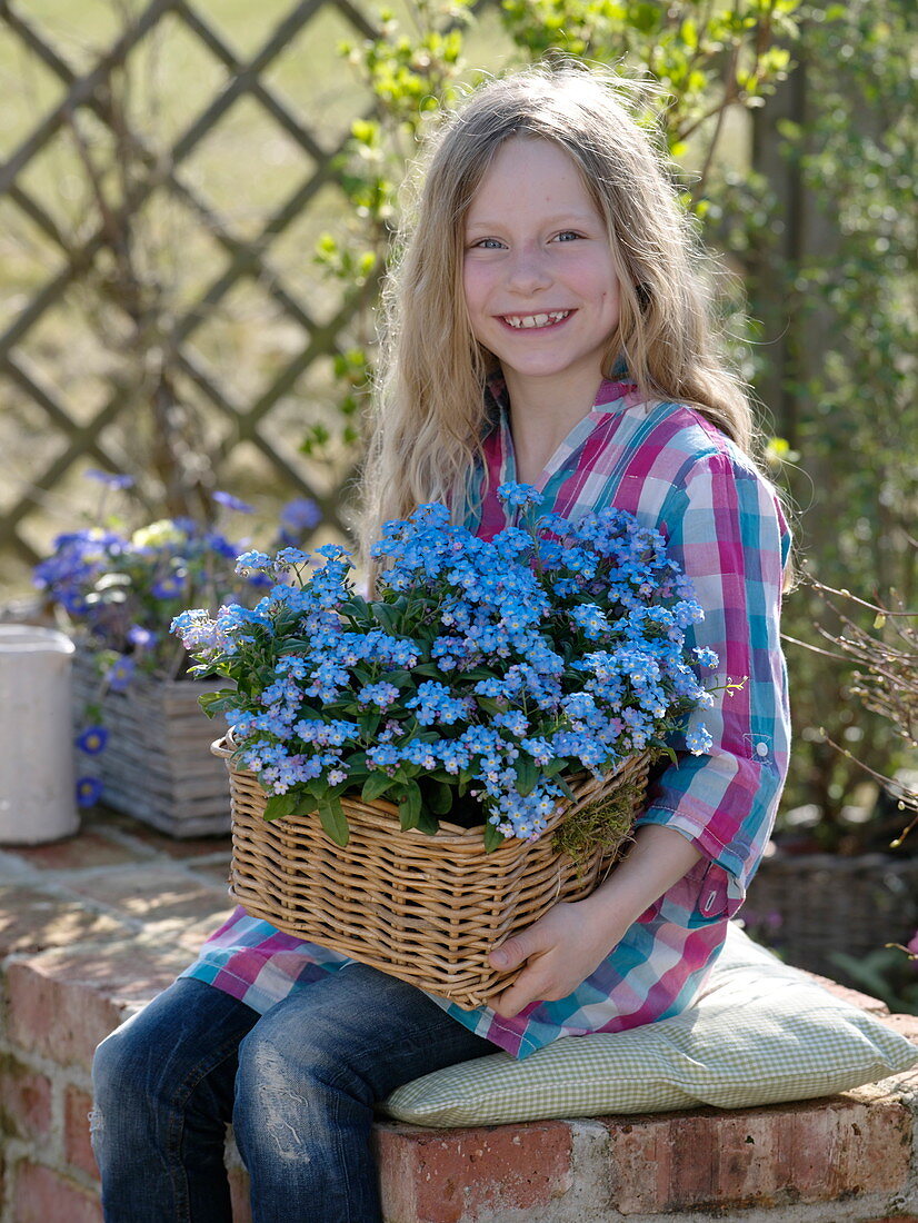 Mädchen hält Korb mit Myosotis 'Myomark' (Vergißmeinnicht)