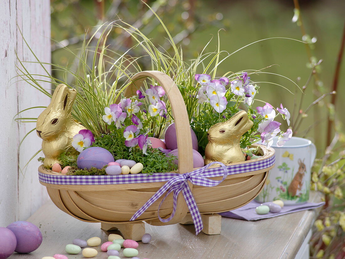 Woodchip basket as Easter basket with chocolate Easter bunny, easter eggs, carex, viola