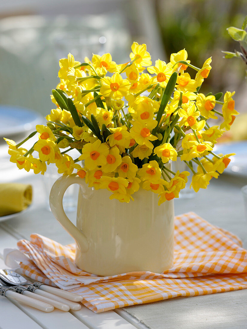 Narcissus 'Soleil d'Or' (Tazett daffodils) in a jar