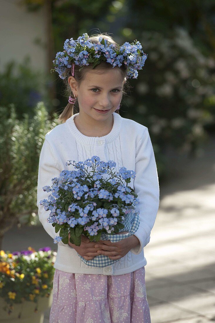 Mädchen mit Myosotis 'Myomark' (Vergißmeinnicht)