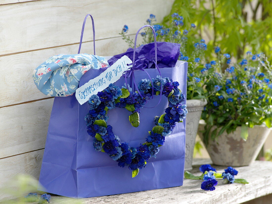 Herz aus Blauen Primula Belarina 'Cobalt Blue', 'Blue Sapphire'
