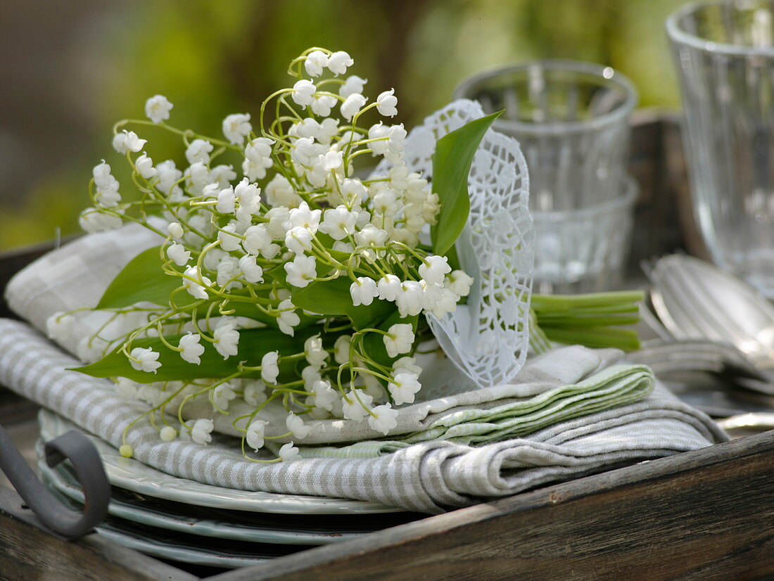 Convallaria majalis (lily of the valley) with paper cuff on napkins