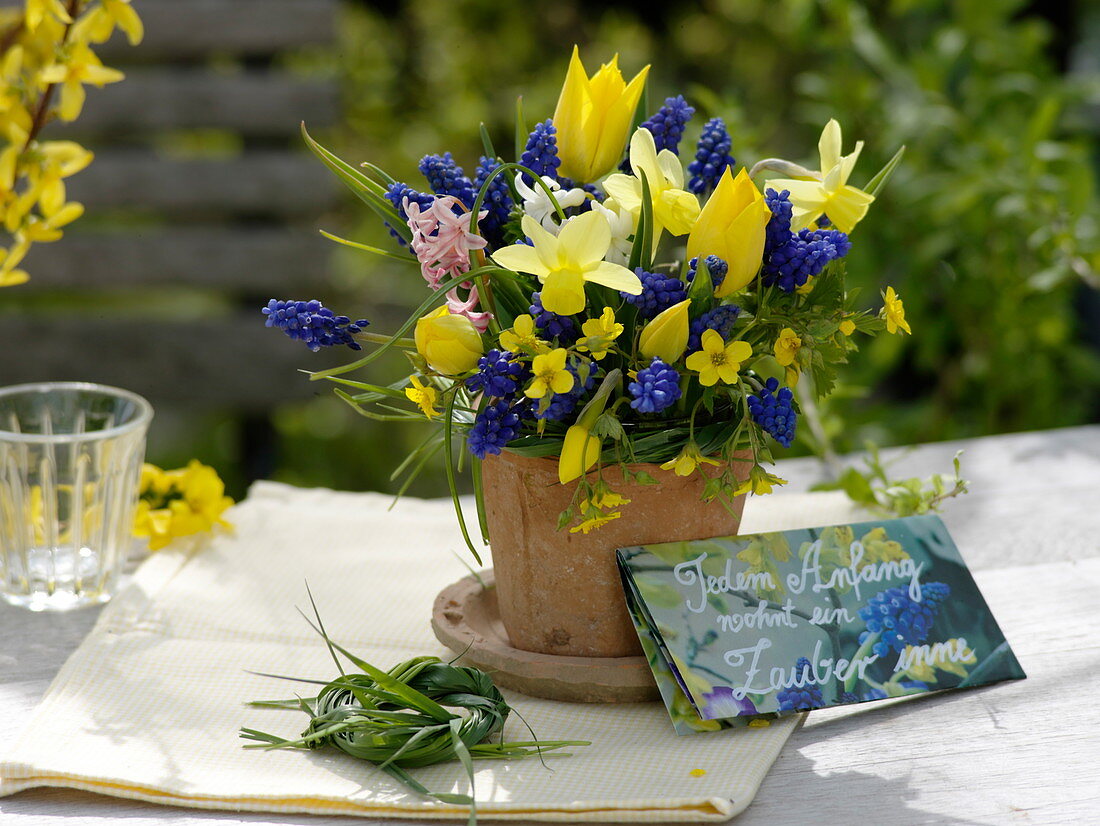 Blue-yellow spring bouquet: Muscari (grape hyacinths), Tulipa (tulips)