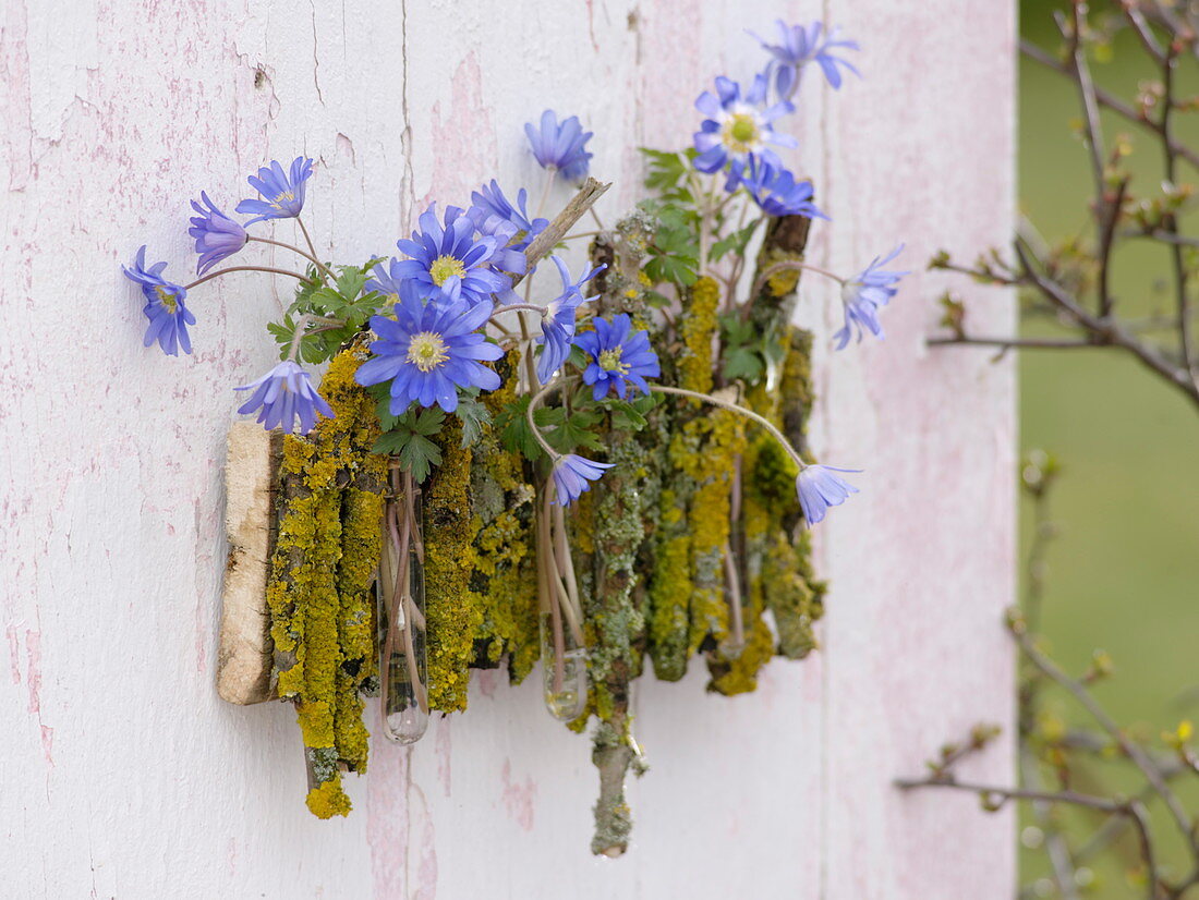 Wandschmuck mit Strahlenanemonen und flechtenbewachsenen Zweigen 3/3