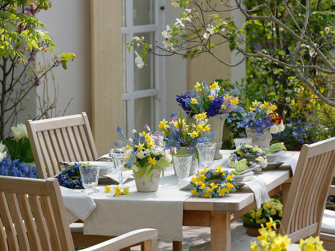 Spring table decoration: Narcissus (daffodils), Muscari (grape hyacinths)