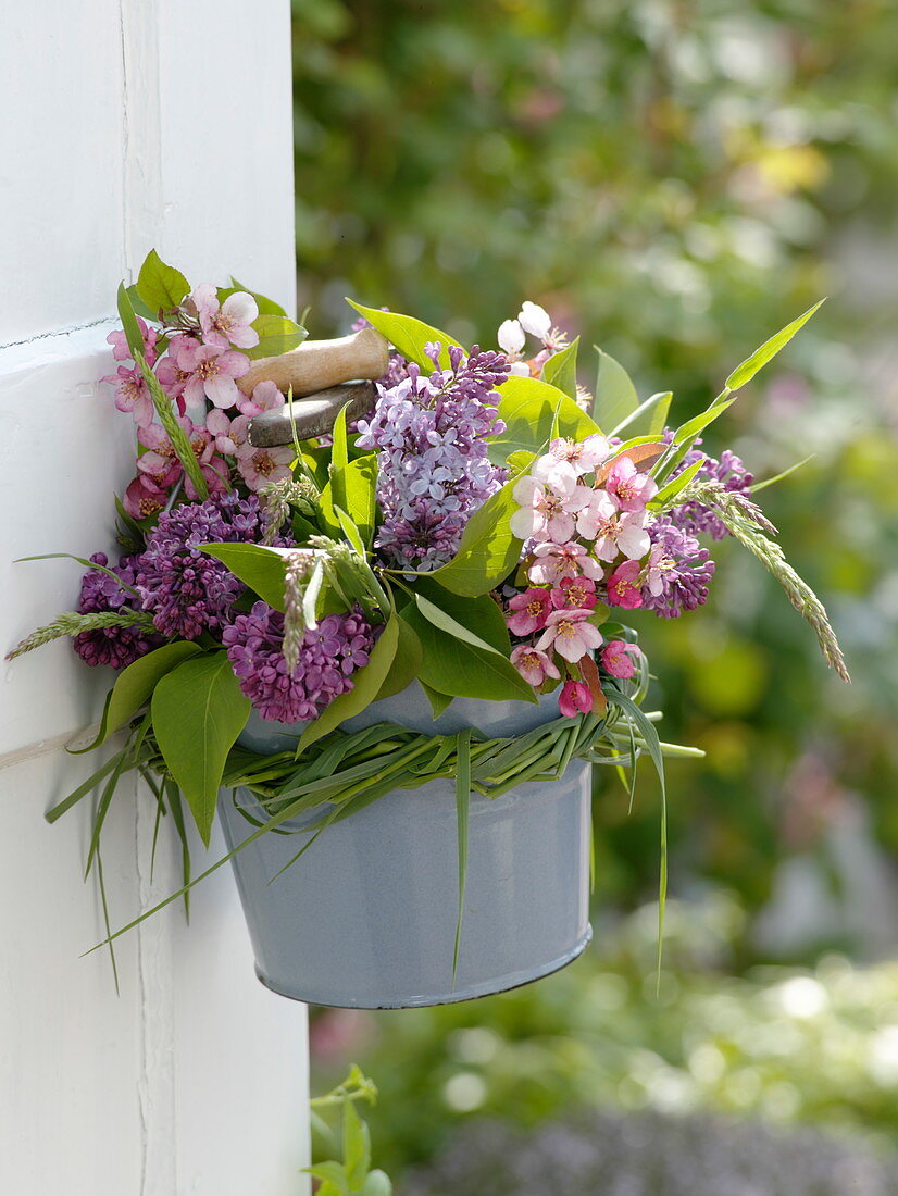 Fragrant bouquet of Syringa (lilac), Malus (ornamental apple blossom)