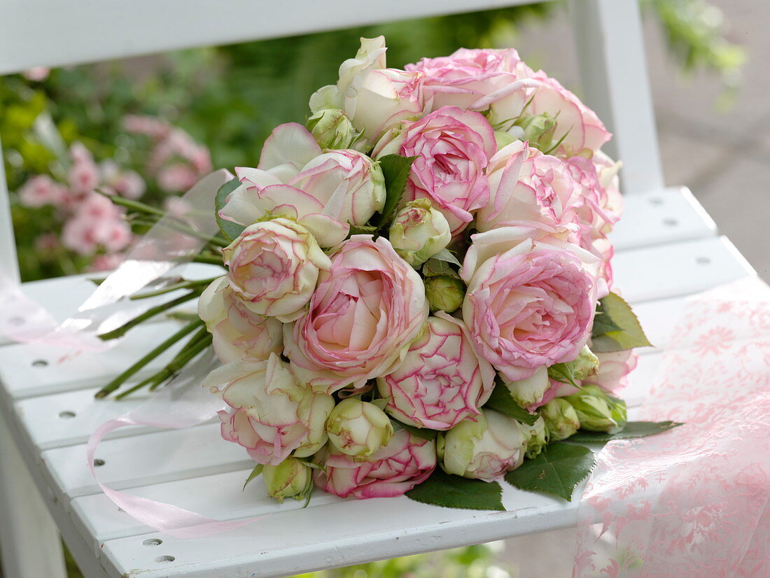 Bouquet of pink 'Eden Rose' (nostalgic roses) placed on chair