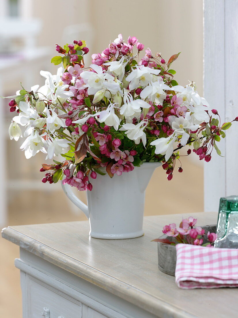 Bouquet of Malus (ornamental apple blossoms) and Aquilegia (columbine) in a white jug