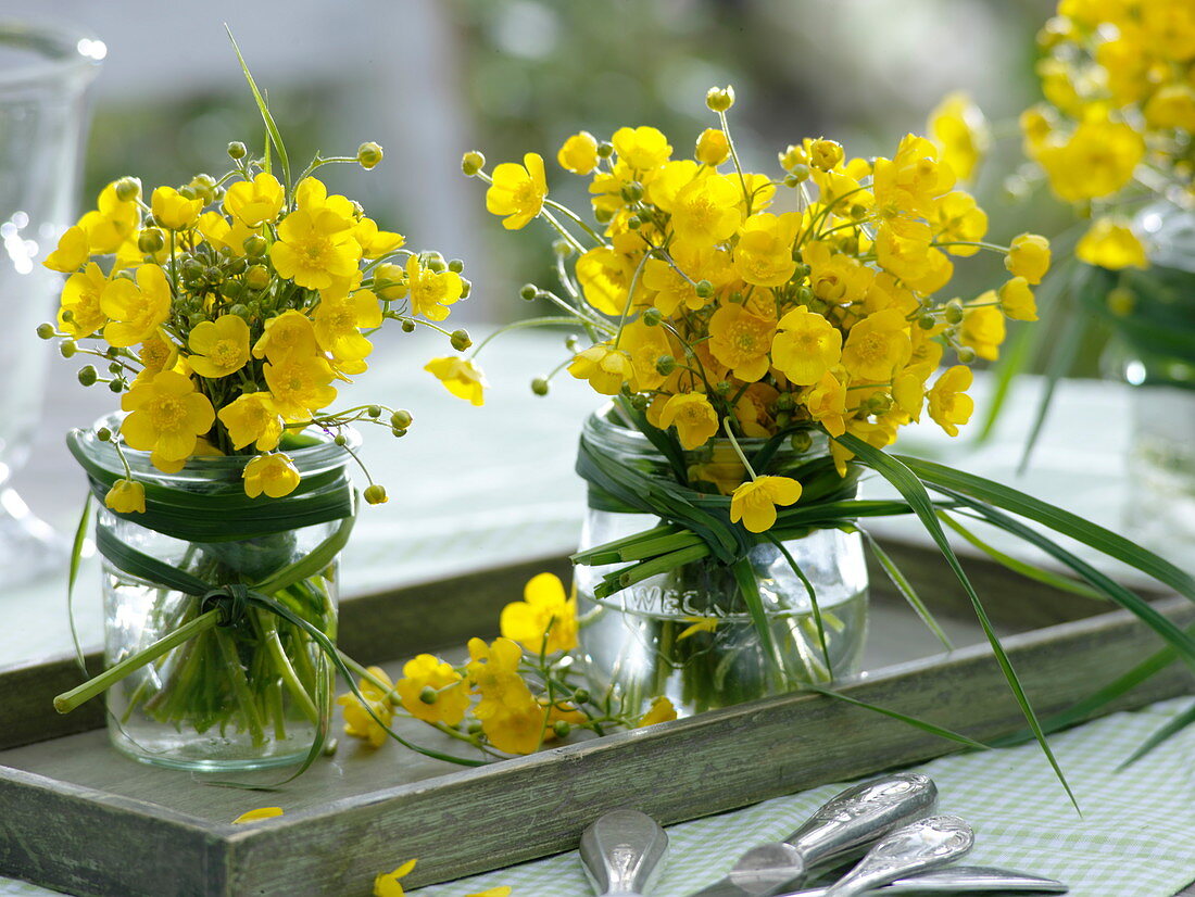 Sträuße aus Ranunculus acer (Scharfem Hahnenfuß) in Einmachgläsern