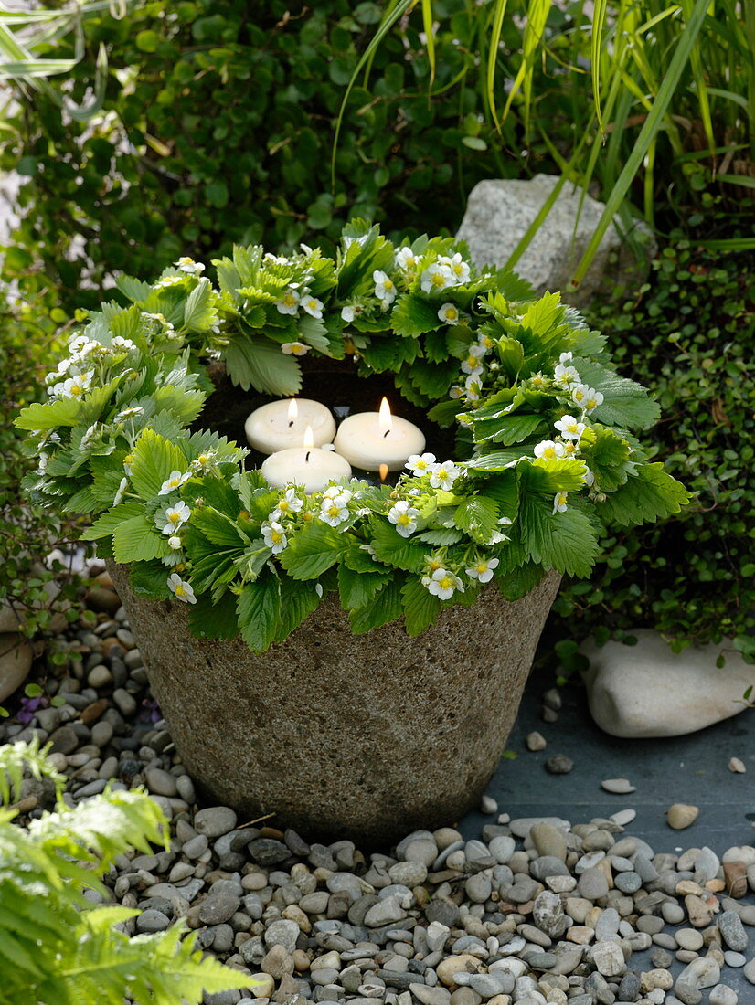 Kranz aus Fragaria vesca (Walderdbeeren) auf Steintrog mit Schwimmkerzen