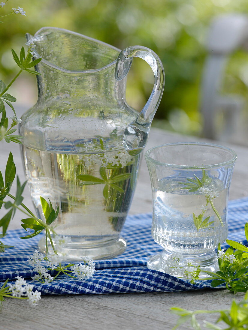 Pitcher and glass with punch of woodruff (Galium odoratum)