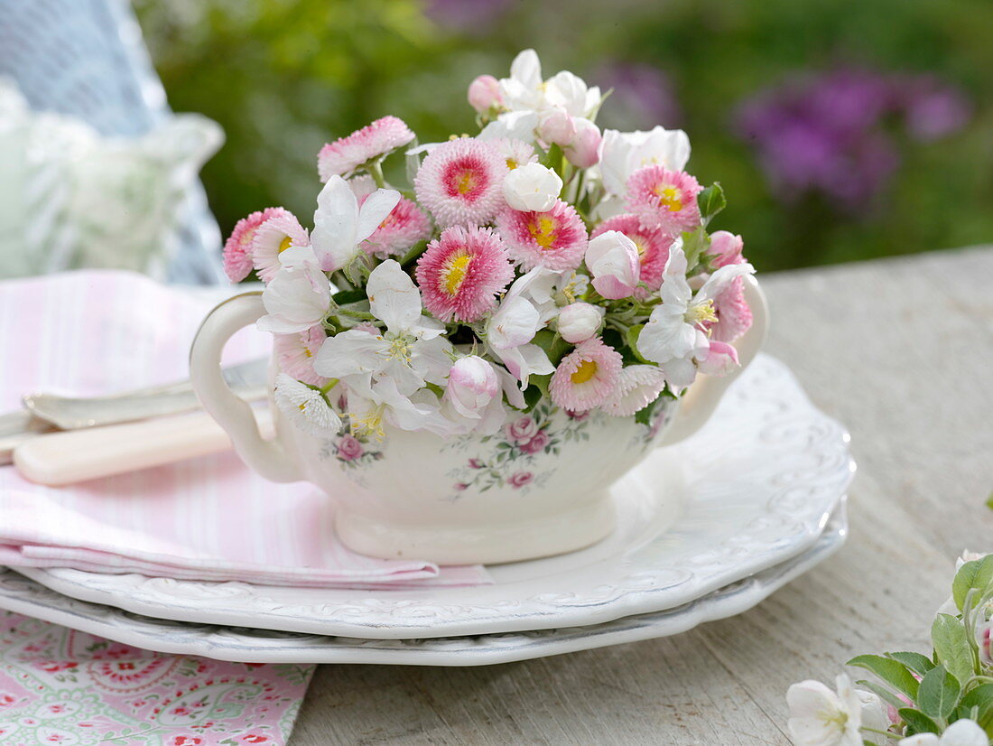 Small bouquet of Bellis and Malus 'Evereste'