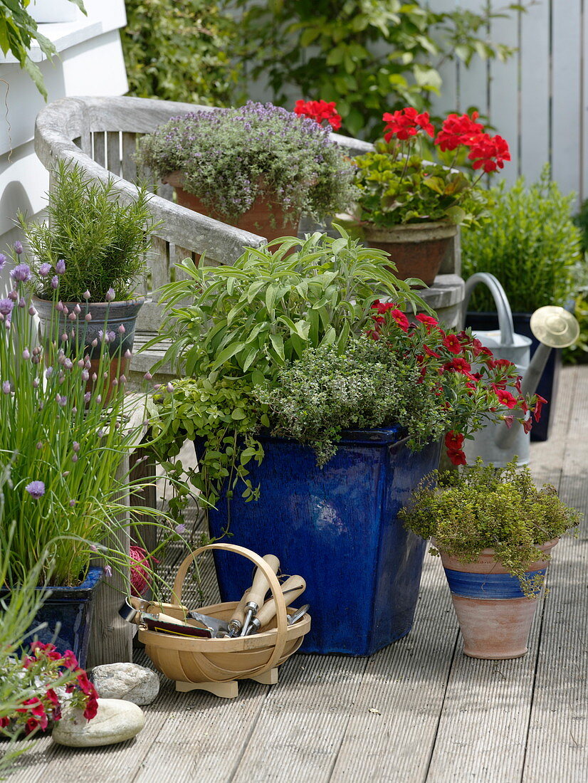 Terrace with herbs and summer flowers