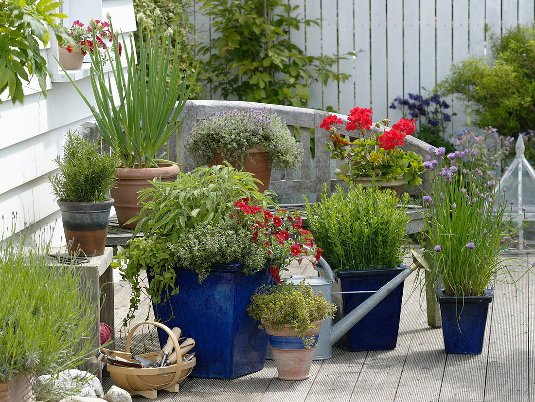 Terrace with herbs and summer flowers