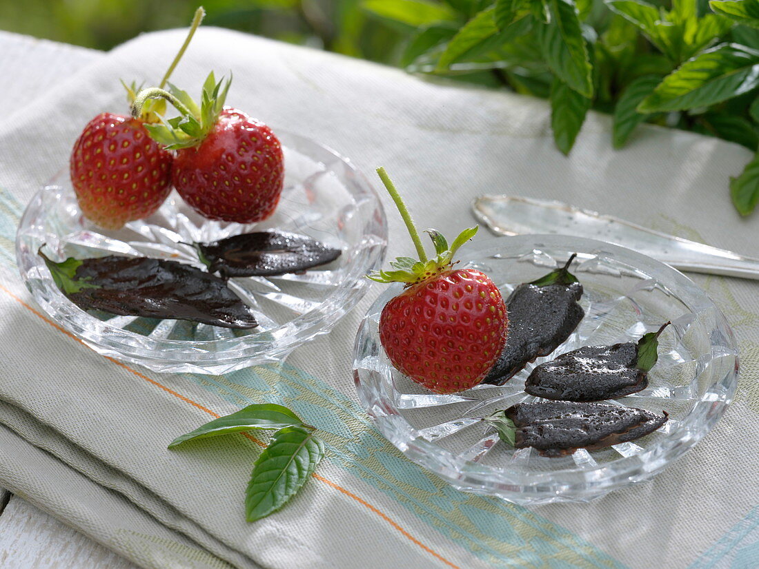 Chocolate mint leaves dipped in chocolate