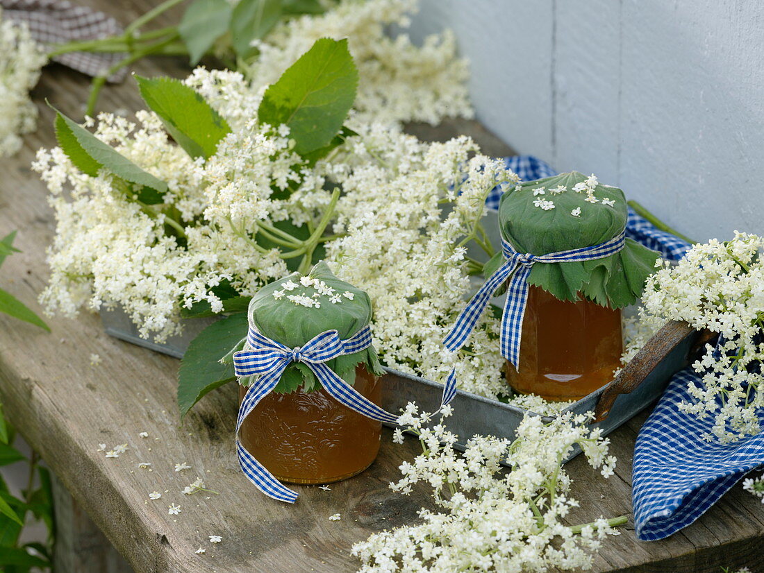 Flowers and jelly of Sambucus nigra (Elderberry)