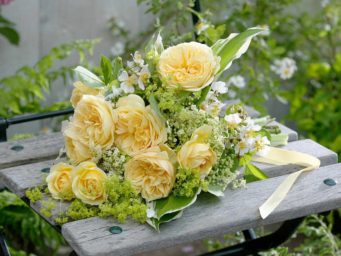 White-yellow bouquet pink, Sambucus nigra