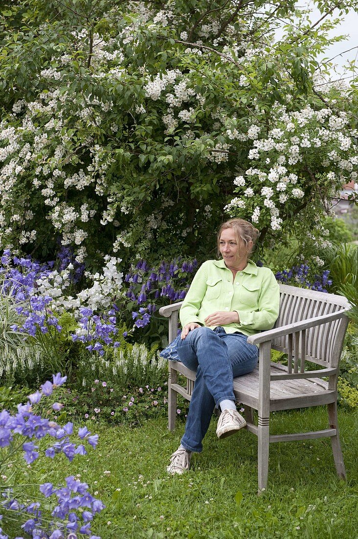Woman sitting on a wooden bench under Rosa multiflora (multiflora rose)