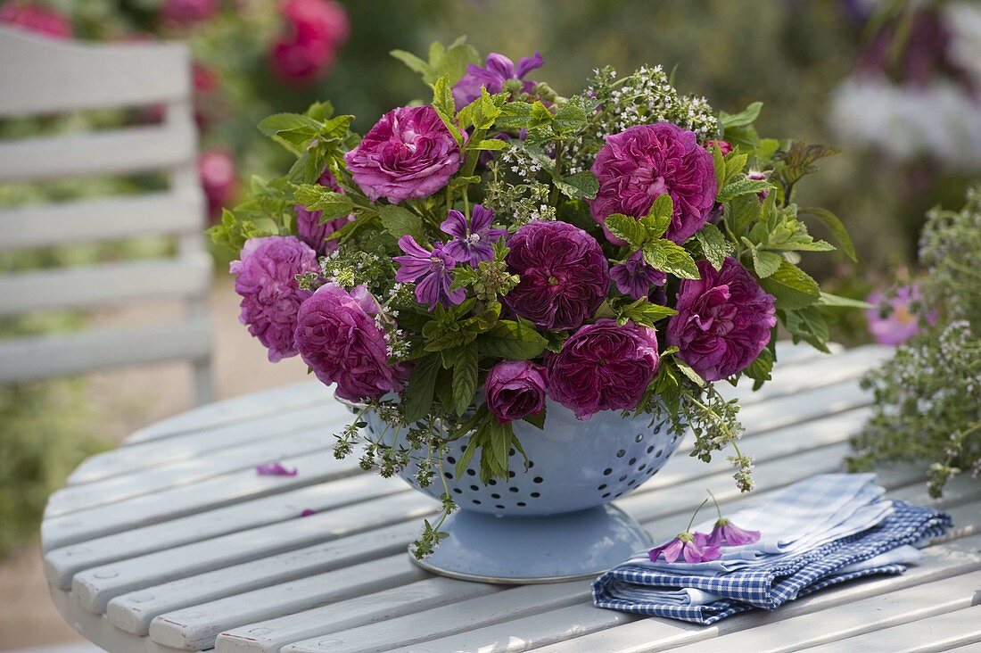 Bouquet of Rosa 'Charles de Mills' (historical rose), Malva silvestris