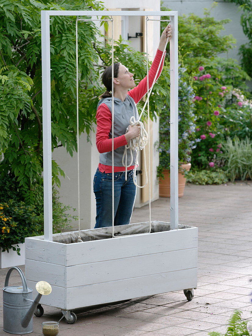 Box with homemade trellis aid made of rope