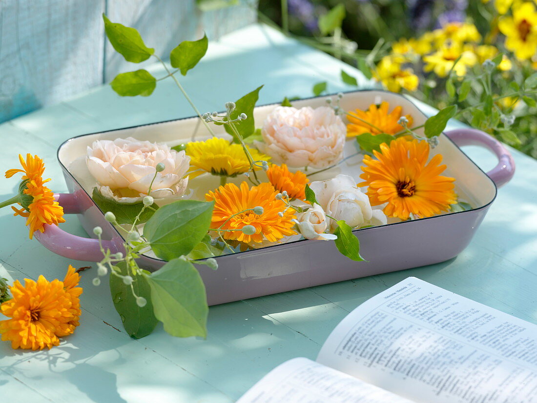 Blüten von Rosa (Rosen) und Calendula (Ringelblumen) schwimmen