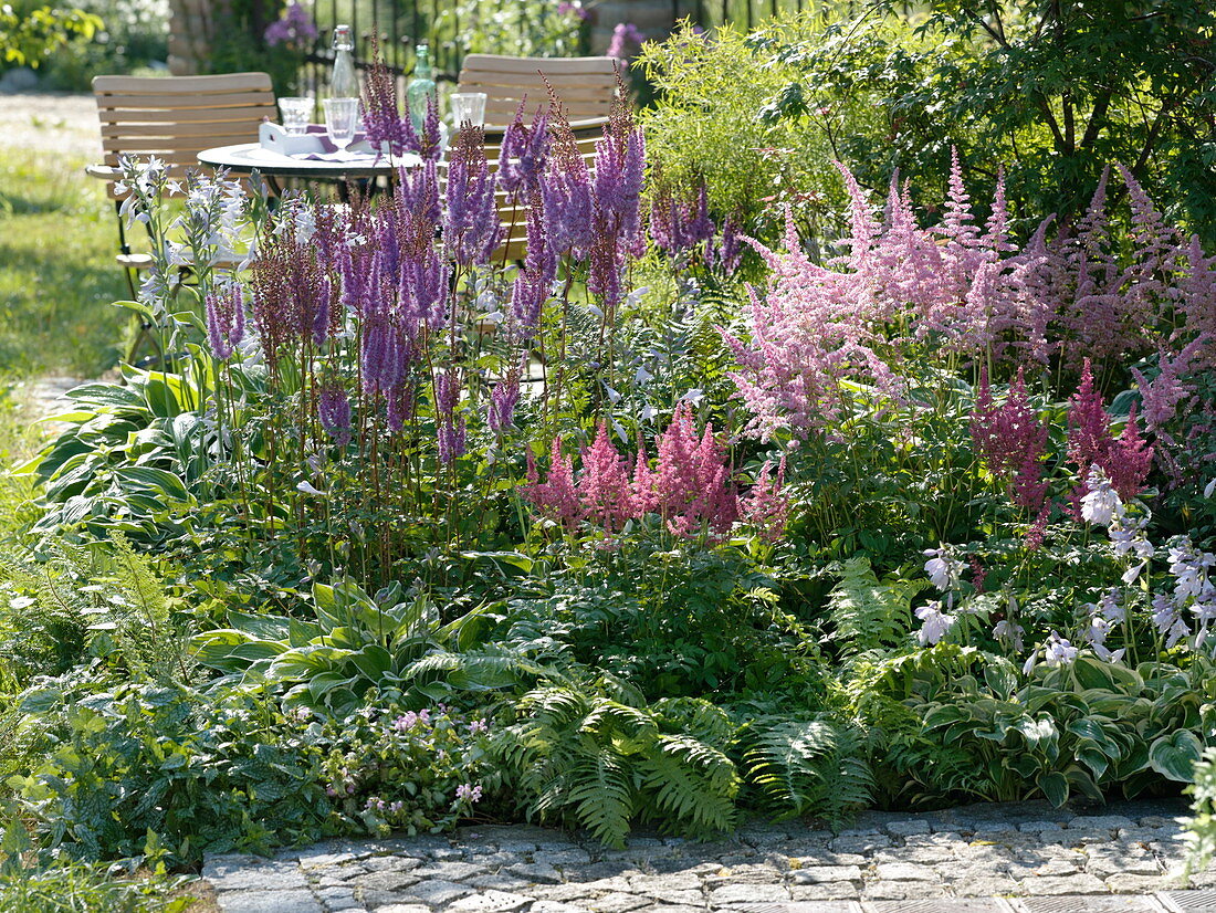 Half shadow bed with perennials