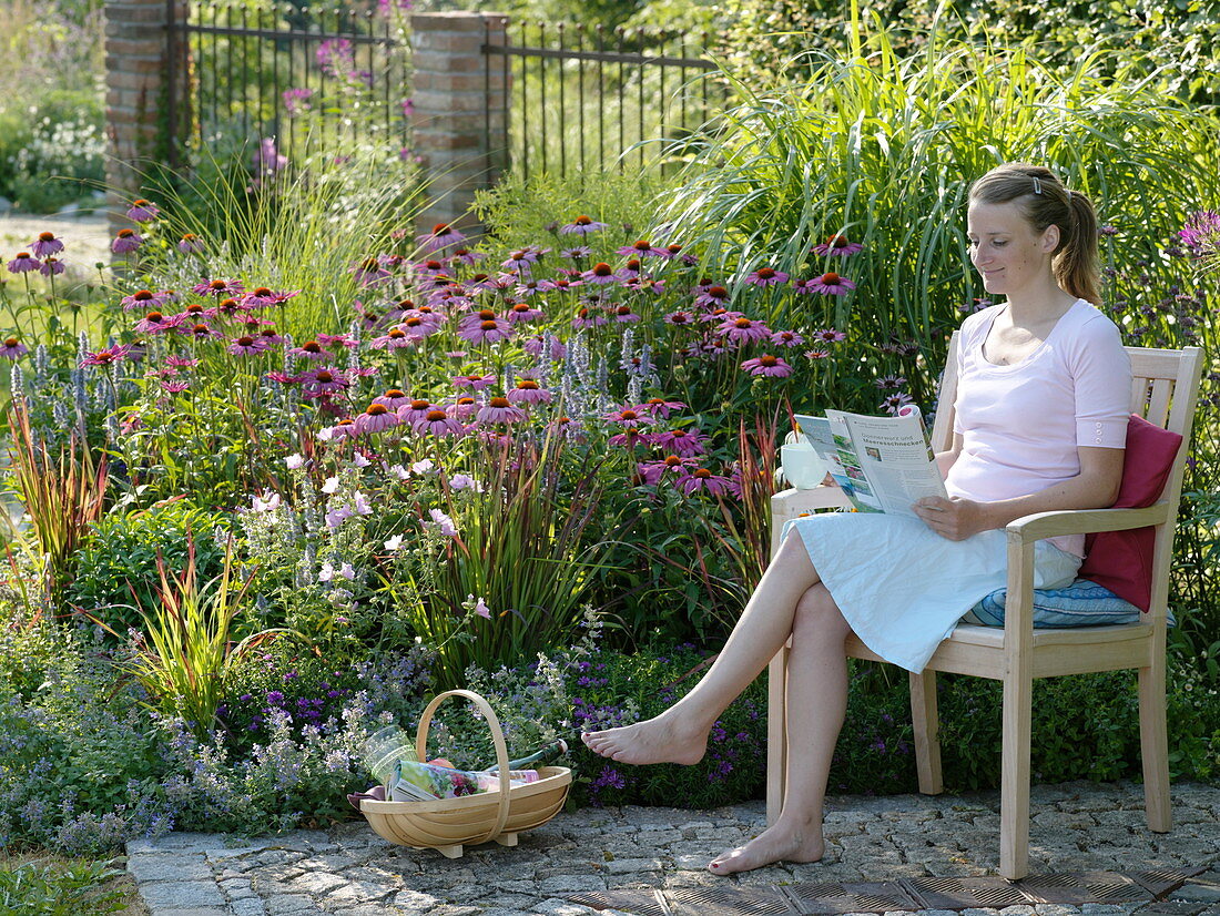 Summer bed with coneflower and grasses