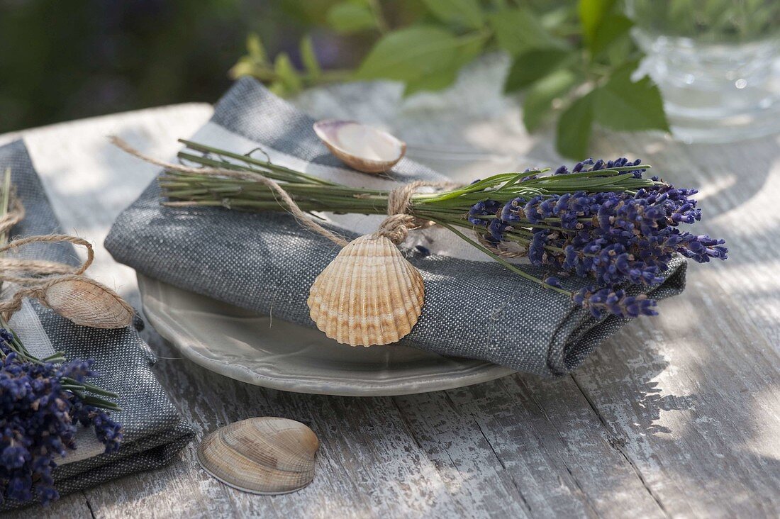 Nautical napkin decoration with lavender (Lavandula) and shells
