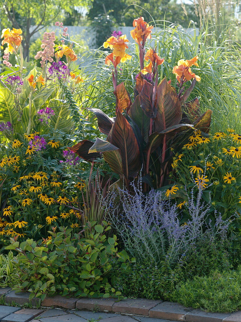 Summer bed with Indian flower cane