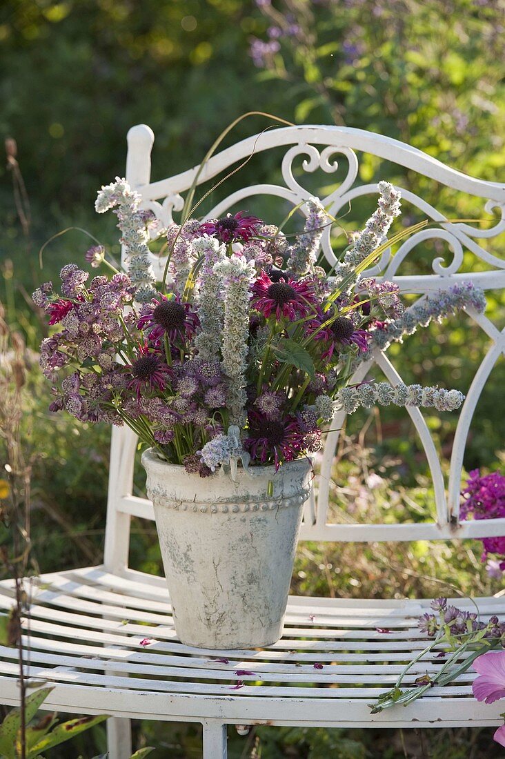 Red-silver bouquet of Astrantia (Starthistle), Stachys byzantina