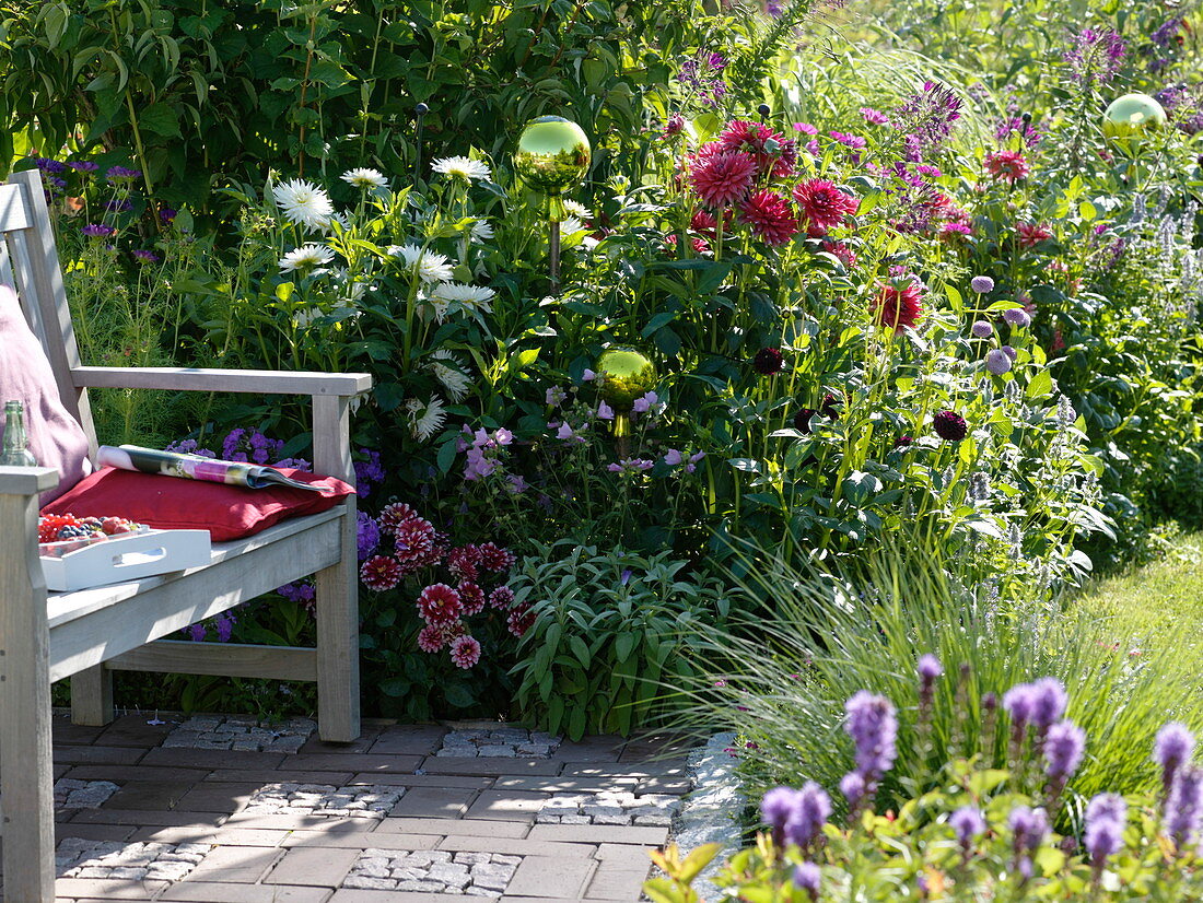 Summer bed with dahlias, perennials and rose balls