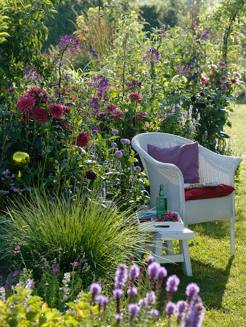 Summer bed with dahlias and rose balls