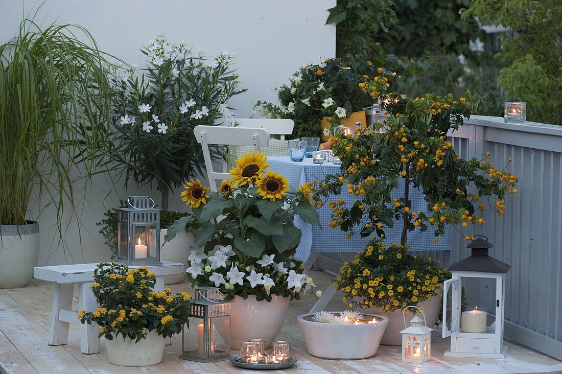 Weiß - gelber Sommerbalkon im Kerzenschein