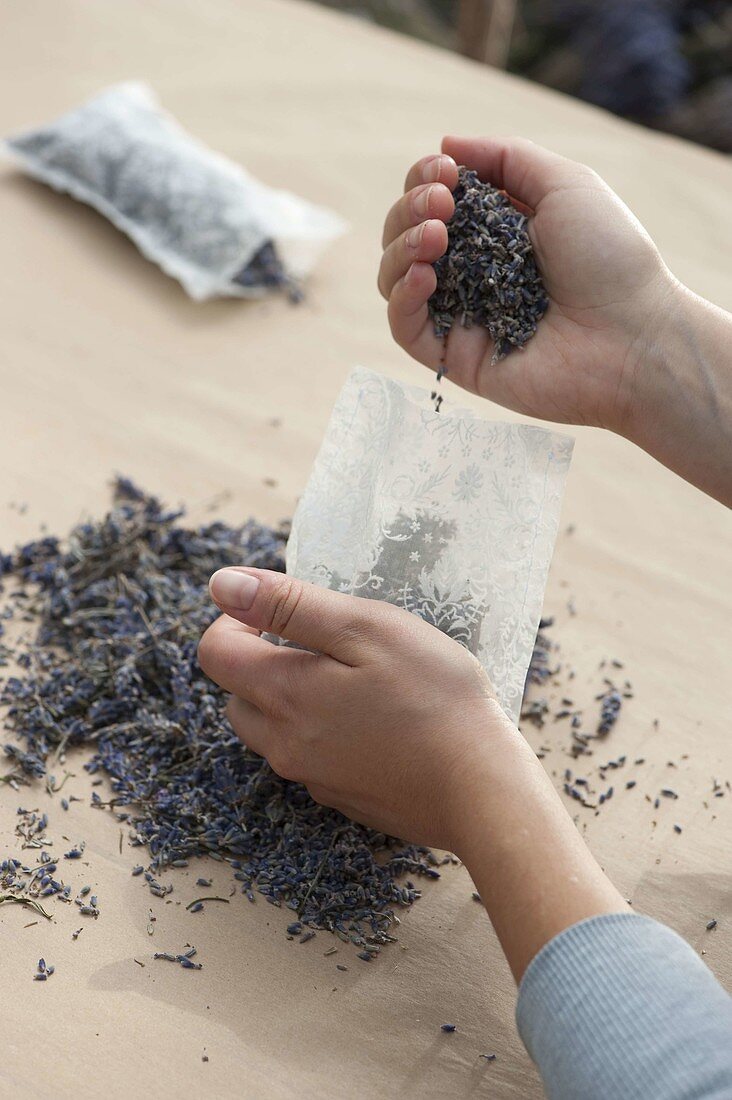 Home-made lavender sachets (3/5)