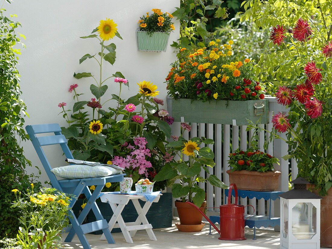 Sommerblumen-Balkon mit gelb-rotem Aussaat-Kasten