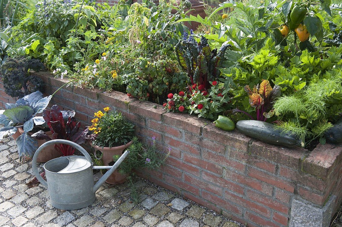 Bauerngarten mit Gemüse und Sommerblumen im Hochbeet