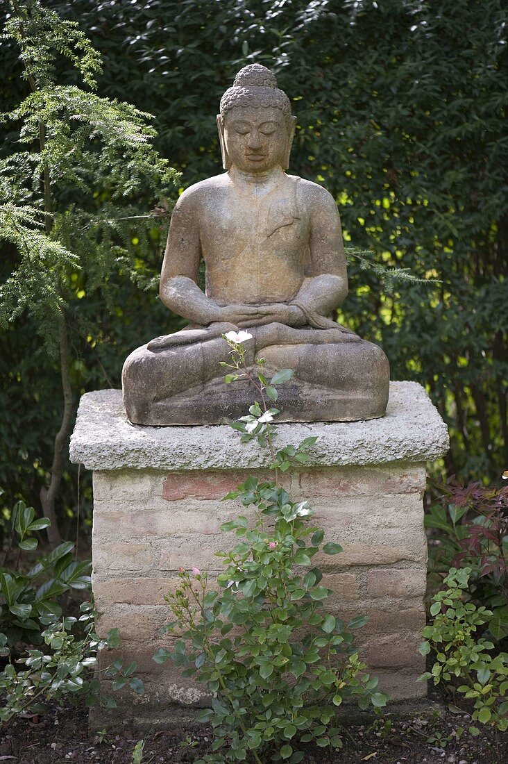 Meditierender Buddha auf gemauertem Sockel, davor Rosa (Rosen)