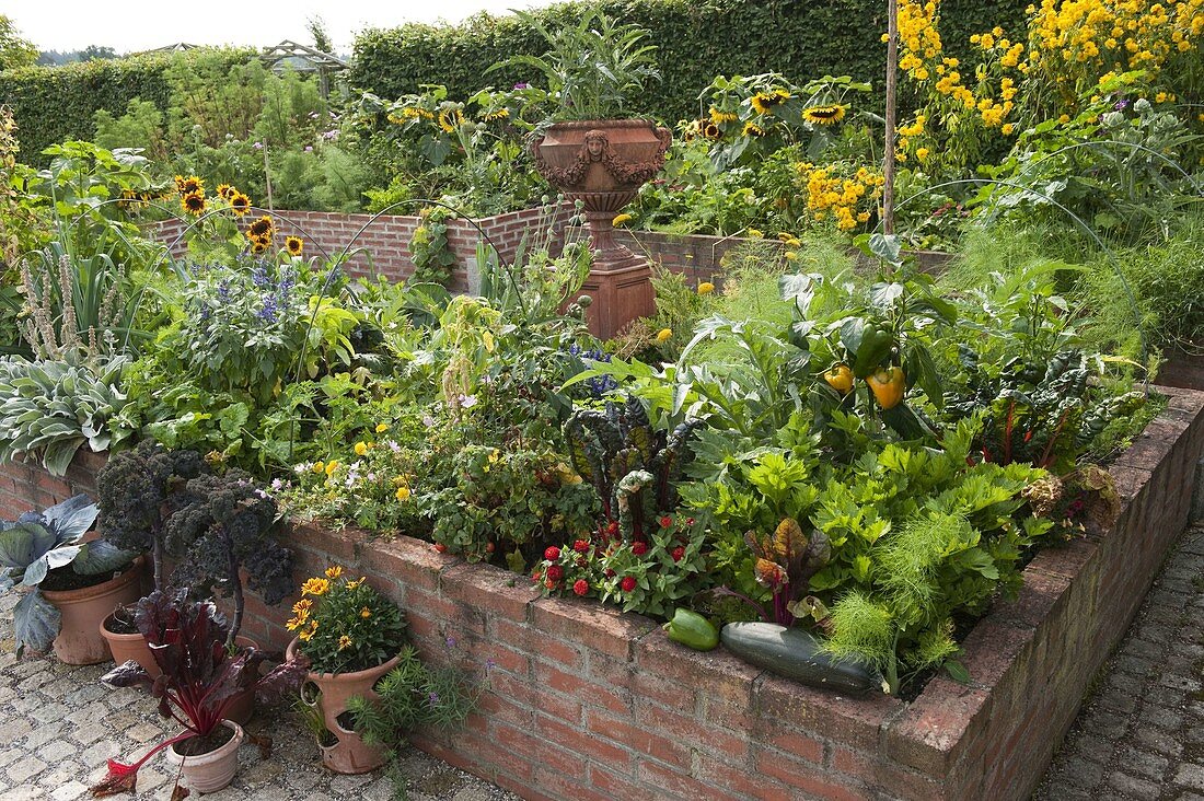 Farm garden with vegetables and summer flowers in raised bed