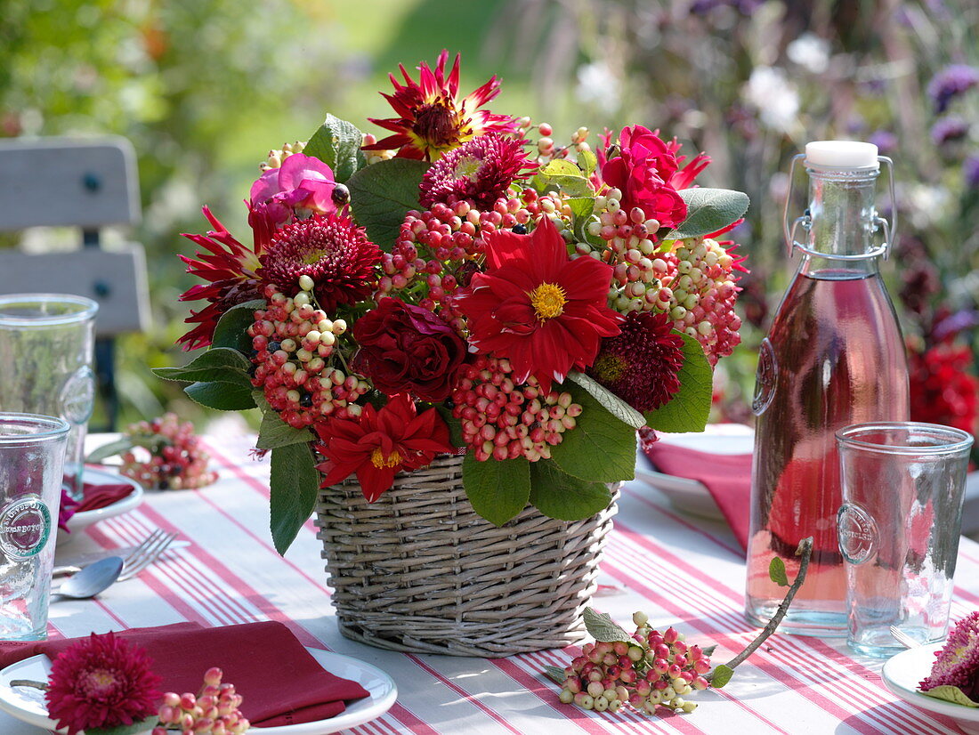 Red late summer bouquet of Viburnum lantana (Wooly Snowball)