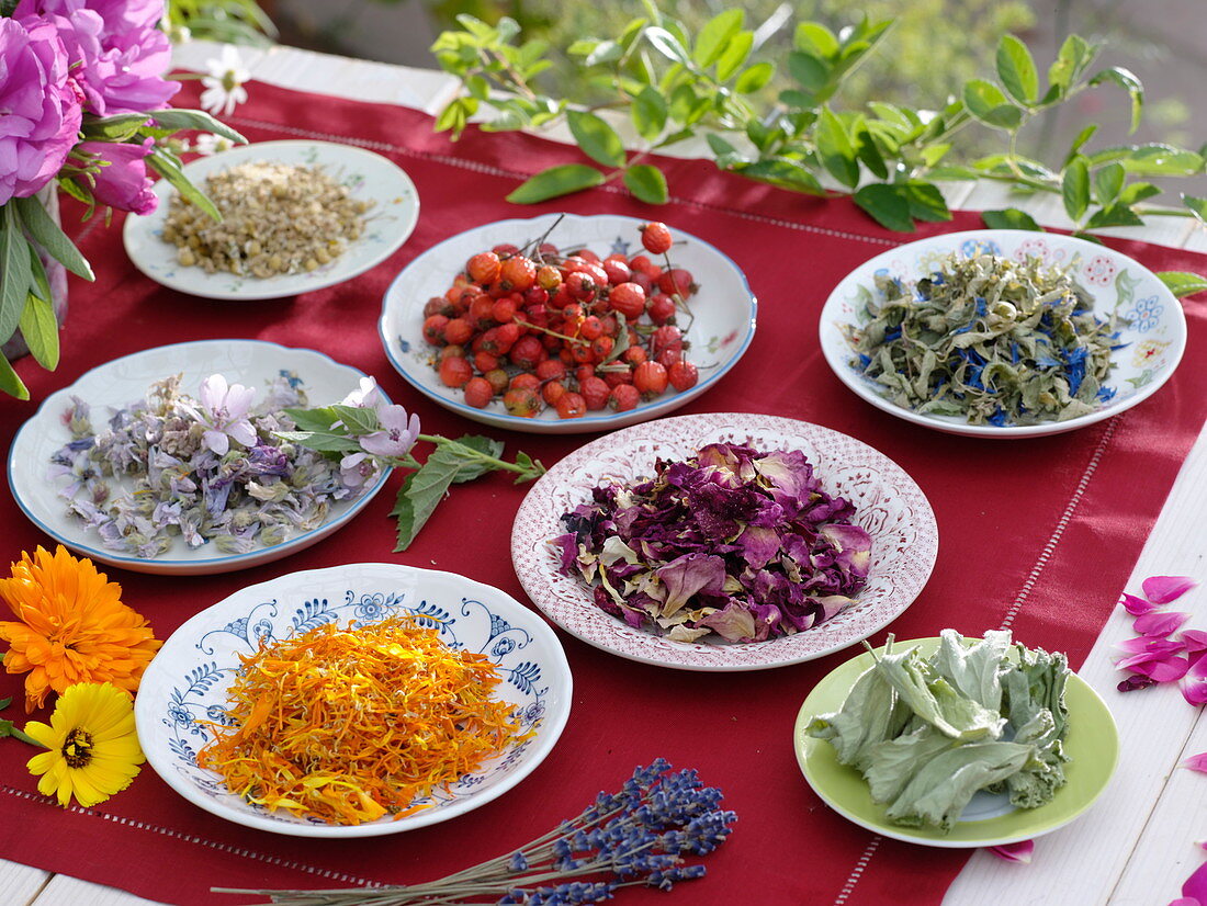 Plate with dried tea herbs: