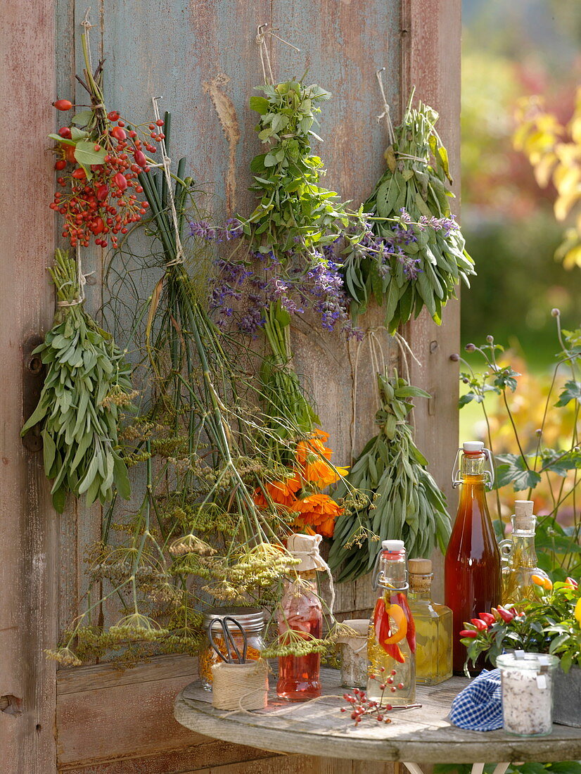 Herbs bundled and hung to dry