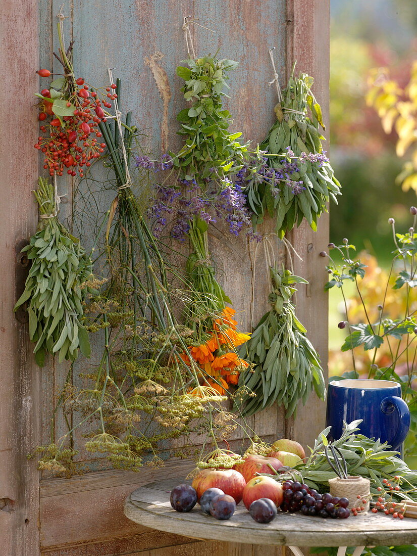 Herbs bundled and hung to dry