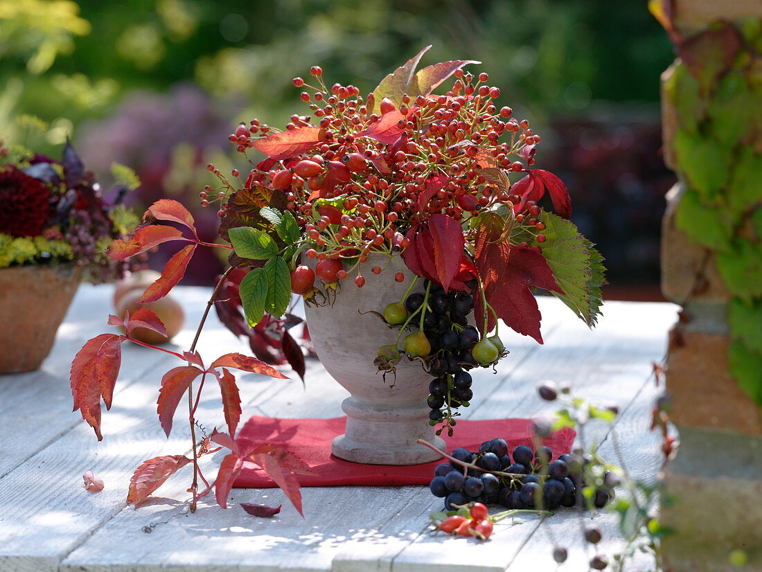 Herbstlicher Strauss mit Rosa (Hagebutten), Weintrauben (Vitis vinifera)