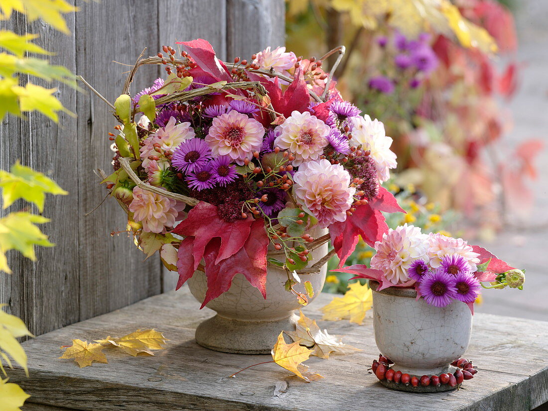 Gemischter Herbststrauß : Dahlia (Dahlien), Aster (Herbstastern), Sedum