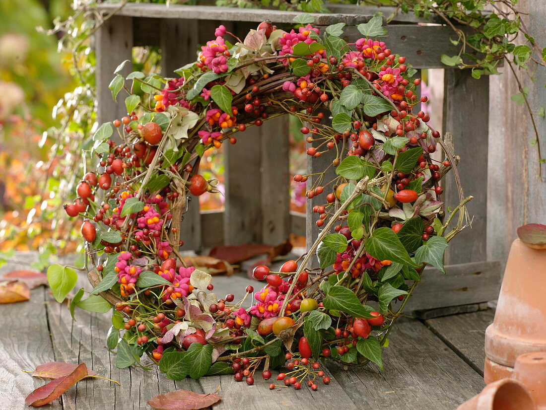 Kranz aus Hedera (Efeu), Früchte von Euonymus (Pfaffenhütchen), Rosa