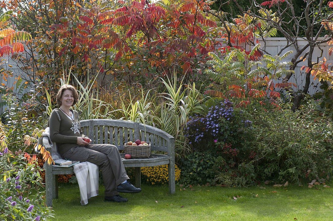 Semi-circular bench in front of autumn bed with Arundo donax 'Versicolor'