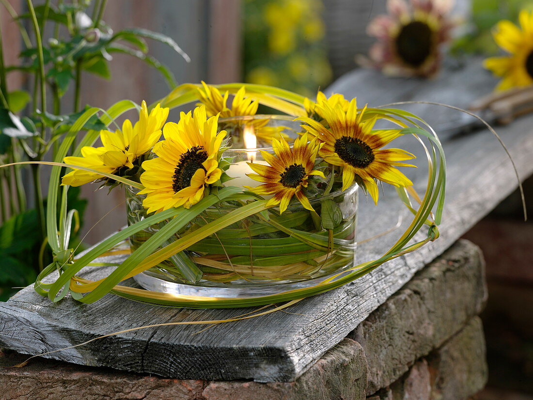 Windlicht mit Sonnenblumen und Gräsern 4/4