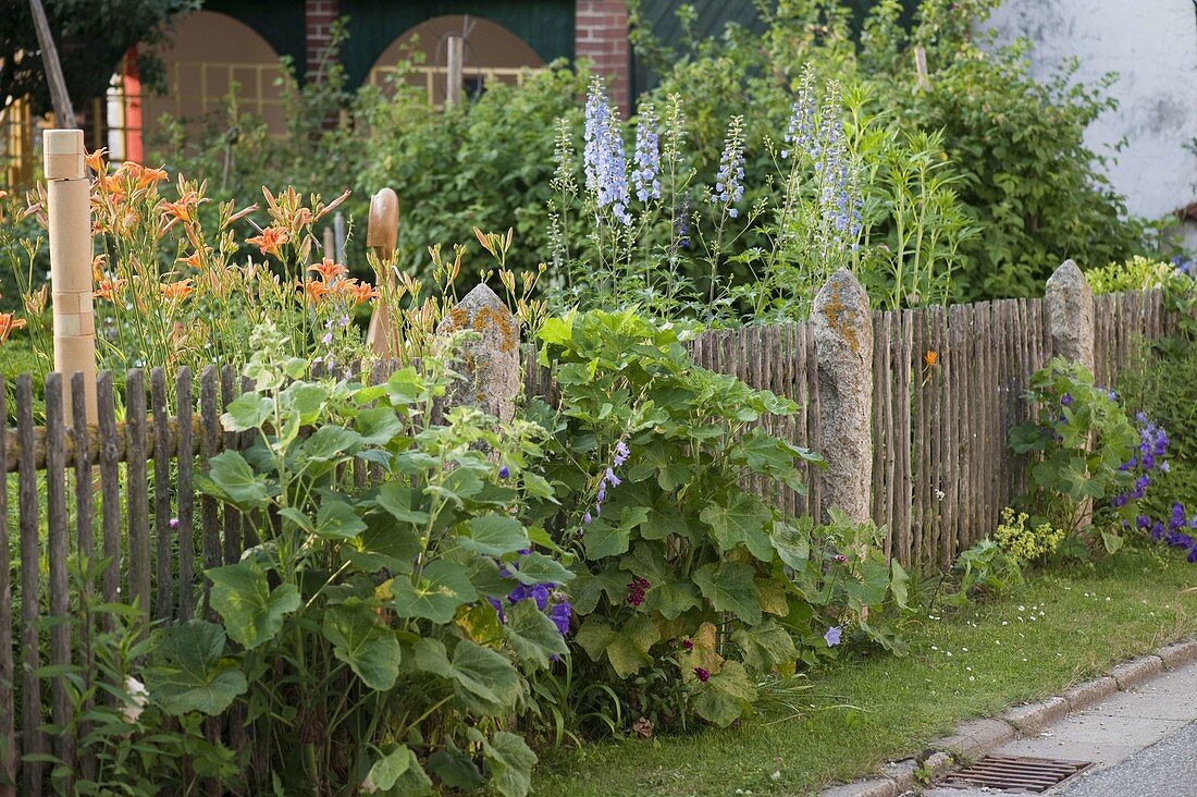 Artist's garden: perennial bed with Delphinium (delphinium), Hemerocallis